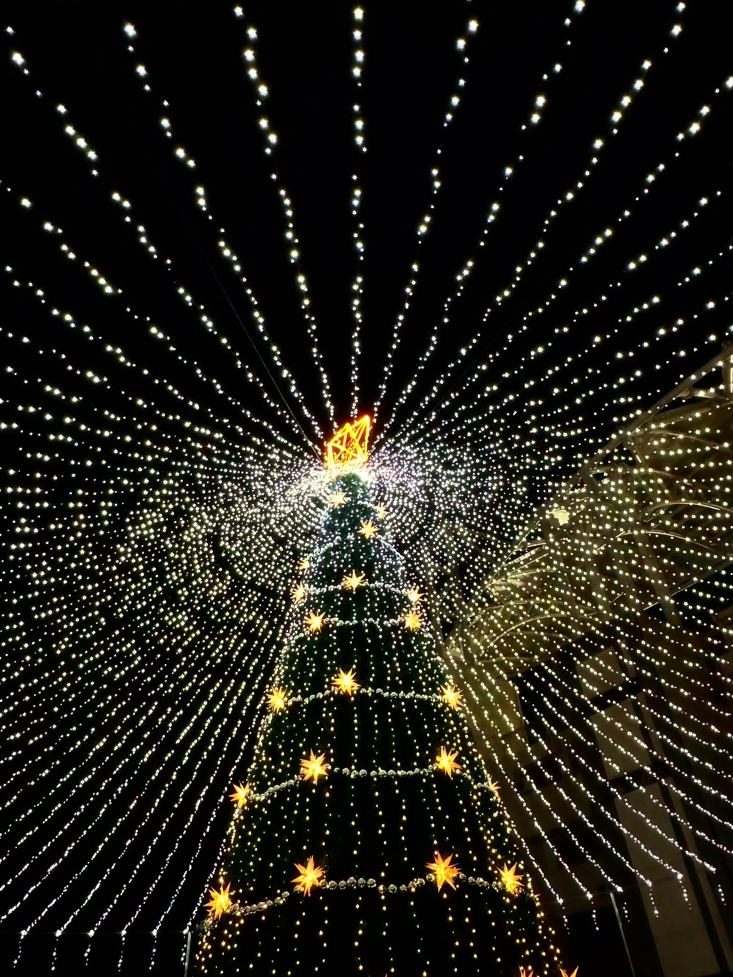 鬧哄哄的此刻
什麼都沒有發生
心卻突然退後一步
退回那個
連告別都
來不及完成的
昨日

我站在原地
不靠近也不遠離
只在喧嘩的縫隙間
打撈那些
曾經安靜得
讓人忘記
時鐘在走的日子