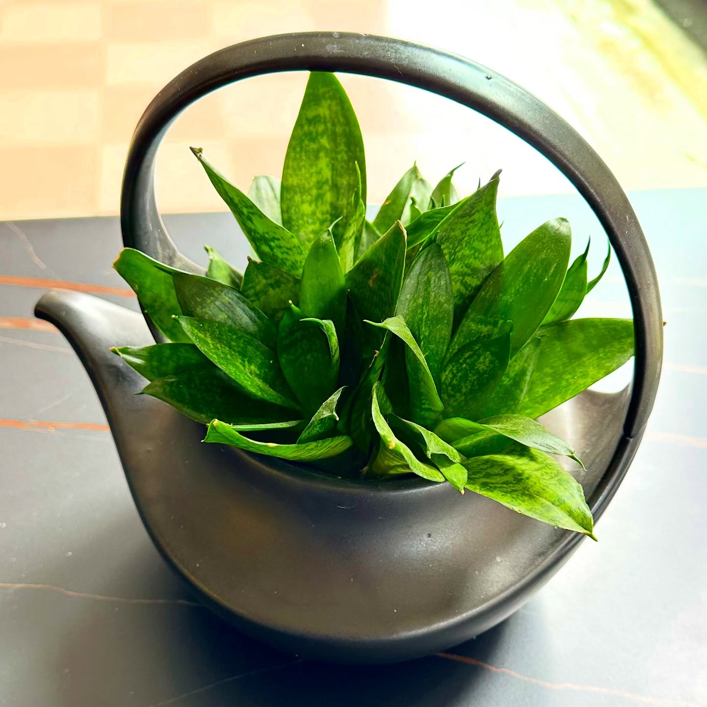 好想像你一樣活著。

不急、不趕、不用滿足誰的期待。
日子也可以很悠哉。

把時間交給呼吸，
把心交給生長。